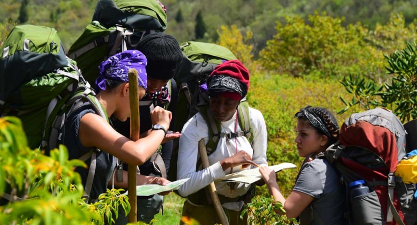 Four people wearing backpacks examine a map amid dense greenery.